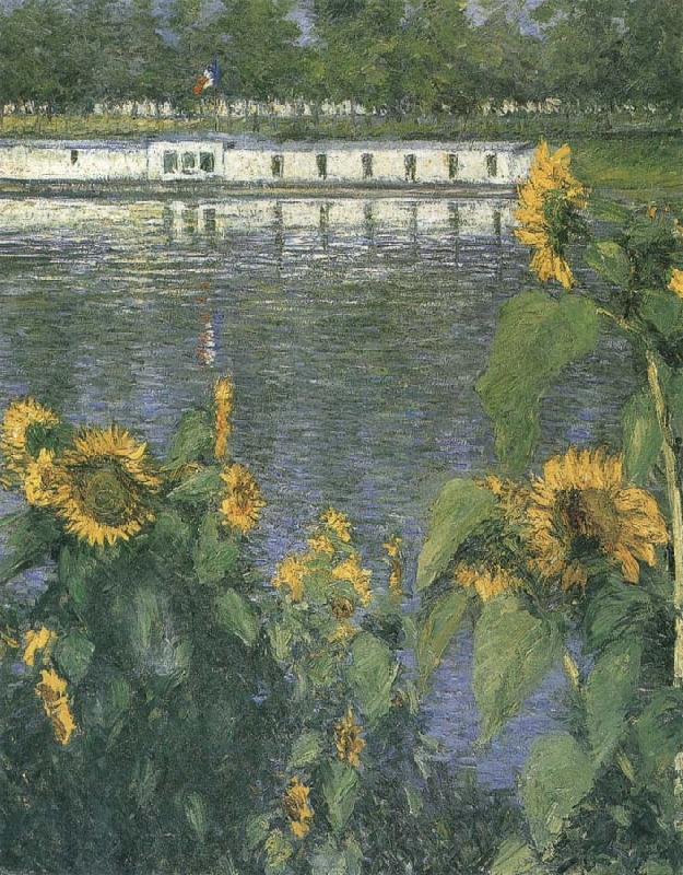 Gustave Caillebotte The sunflowers of waterside